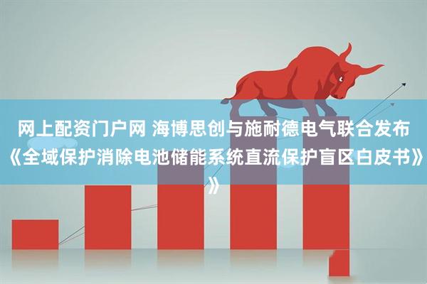 网上配资门户网 海博思创与施耐德电气联合发布《全域保护消除电池储能系统直流保护盲区白皮书》