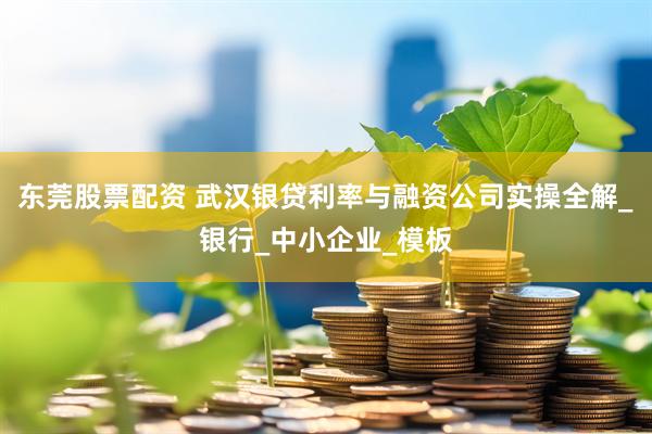东莞股票配资 武汉银贷利率与融资公司实操全解_银行_中小企业_模板